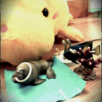 ガチャとぬいぐるみ