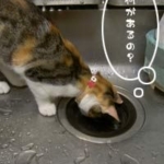 ボクとあたち015