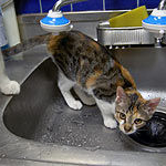 ボクとあたち014