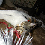 ボクとあたち012