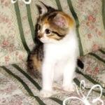 ボクとあたち010