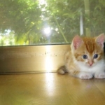 ボクとあたち009