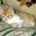 ボクとあたち008