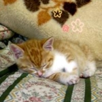 ボクとあたち005