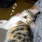 ボクとあたち004