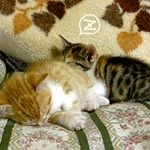 ボクとあたち003