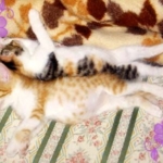 ボクとあたち002