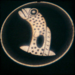 チンアナライト