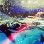 マゼランペンギン