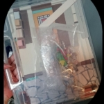 収納したところ