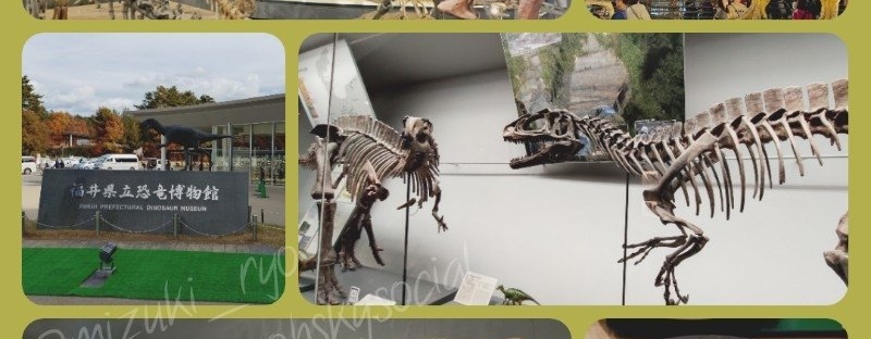 恐竜博物館